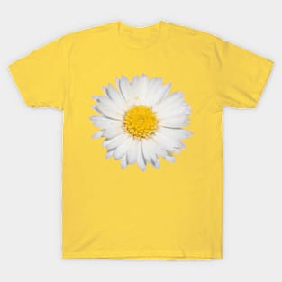 Top View Of A White Common Daisy Isolated T-Shirt